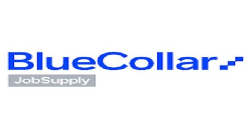 Locuri de munca BlueCollar JobSupply S.R.L.